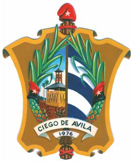 Escudo ciego de avila 11.jpg