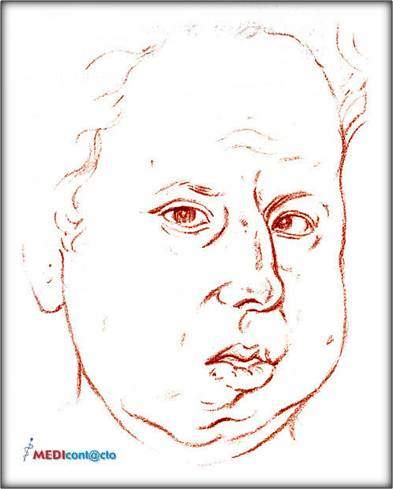 Archivo:S.-DE HALLERMANN log.jpg