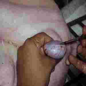 Castración de cerdos.JPG