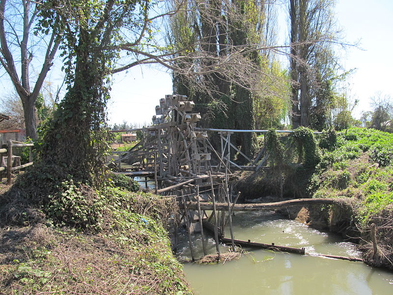 Archivo:Rueda Larmahue 12.jpg