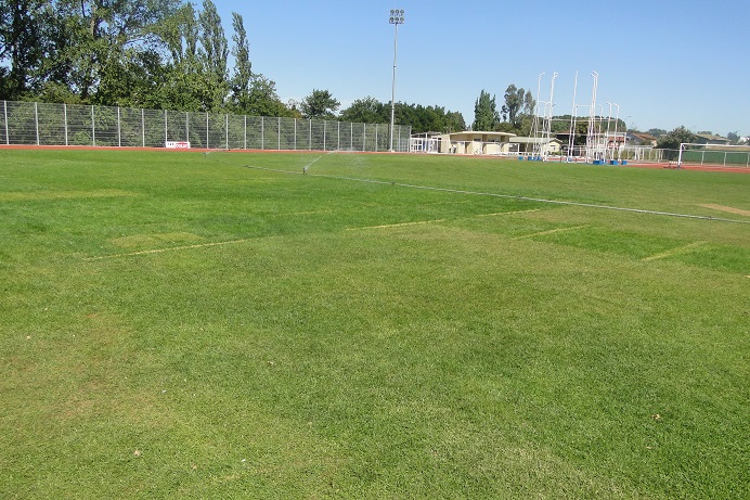 Archivo:Césped Estadio Carlos Vogel Meyer.jpg