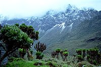 Ruwenzori.jpg
