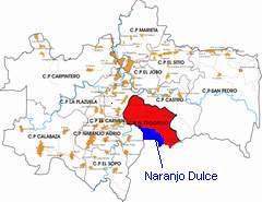 Naranjo dulce progreso sagua holguin.jpg