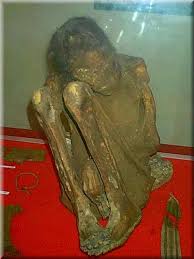 Archivo:Momia Atacameña.jpg