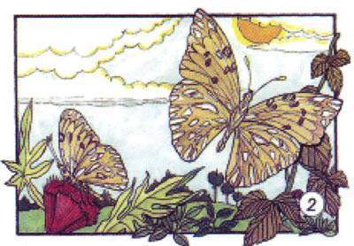 Archivo:Mariposa Agraulis.jpg