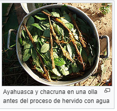 Archivo:Ayahuasca.png