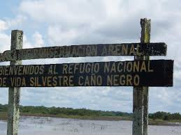 Caño Negro portada.jpeg