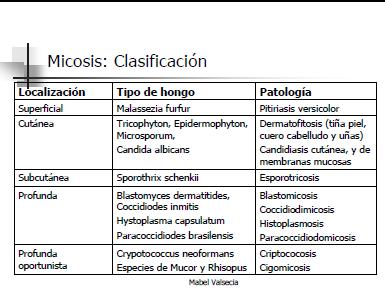 Clasificacion de Micosis.JPG