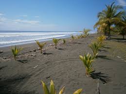 Playa Palo Seco portada.jpg