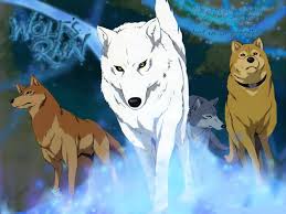 Wolf rain.jpg