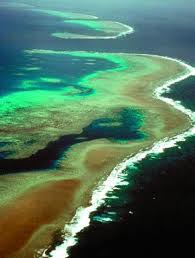 Gran Barrera de Coral Australiana.jpg