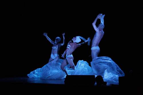 Archivo:Pájaros en la playa.jpg