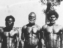 Aborigen nnnnn1.jpg