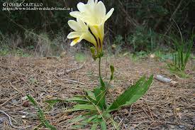 Archivo:Nidia y machu.jpg