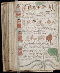 Archivo:Hojas Manuscrit Voynich.jpg