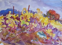 Diversidad floral.jpg