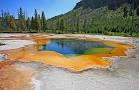 ParqueYellowstone.jpeg