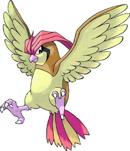 Archivo:Pidgeotto.jpg