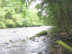 Archivo:Río Cañas6.jpg