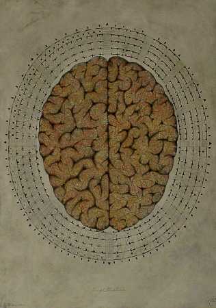 Archivo:Amphitheatrum, 2003.jpg