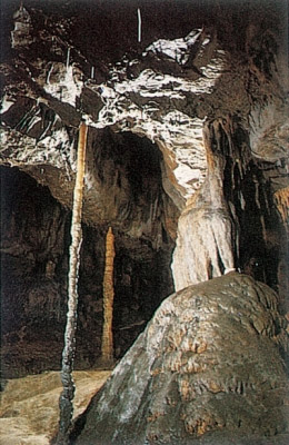 Cueva G.JPG