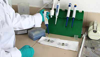 Archivo:Servicios biotecno.jpg