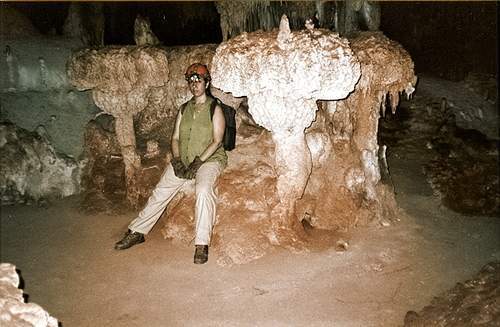 Hongo zinolita 2.jpg