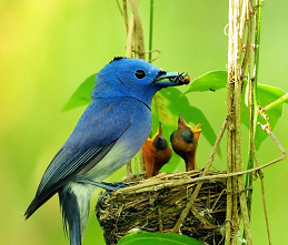 Archivo:123789.png