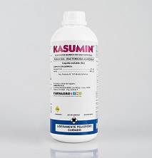 .kasumin1.jpg