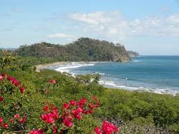 Playa Buena vista potrtada.jpeg