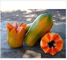 Variedad Scarlet princess.jpg