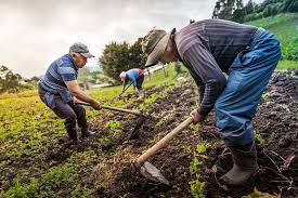 (275 × 183 píxeles; tamaño de archivo: 15 KB; tipo MIME: image/jpeg)