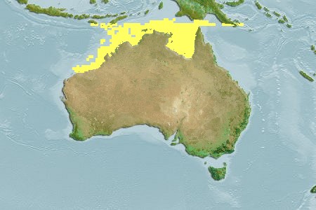 Distribucion del hipo alatus en australia.jpeg
