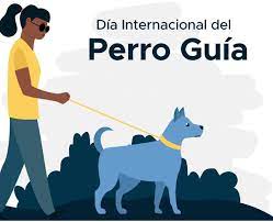 Perro guia.jpg