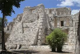 Starosa dextampak.jpg