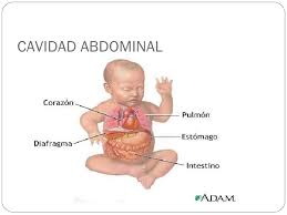Abdomen agudo en el niño.jpg