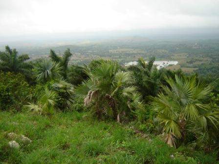 Escaleras de Jaruco (Jaruco) EcuRed