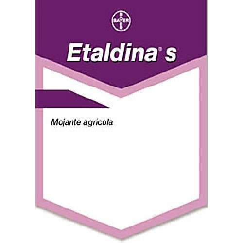 Archivo:Etaldina096.jpg