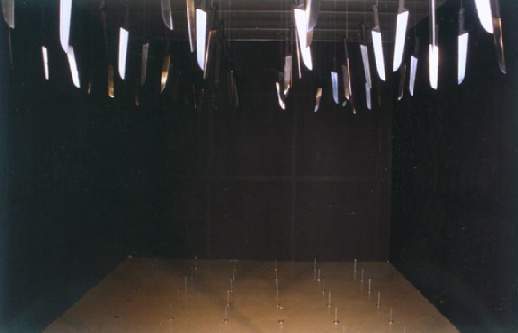 Archivo:Lsaav-El espectador y su obra, 1998.jpg