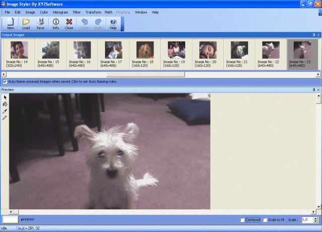Archivo:Image styler 9704.gif
