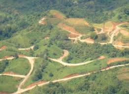 Fila Costeña portada.jpg