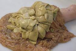 Archivo:Anoplocephala perfoliata.jpg