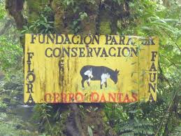 Cerro Dantas portada.jpg