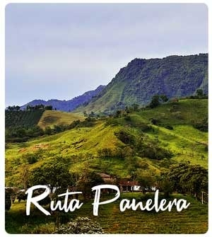 Ruta de la Panela.jpg