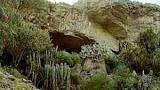 Cueva de piquimachay.jpg