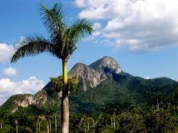 Archivo:Sierra Azul.jpg