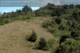 Zona P Caribe Sur.jpg