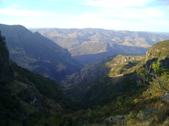 21982461 consa.jpg