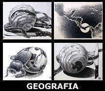 Geografia.jpg