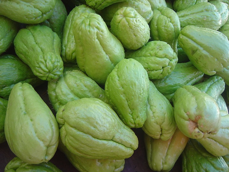 Archivo:Sechium edule (Chayote).jpg